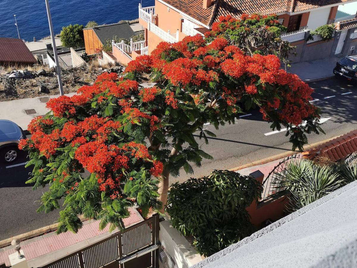 Balcon De Costanera Villa Santa Cruz de Tenerife Kültér fotó